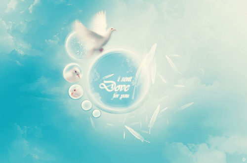 i_sent_dove_by_galler_y-d3gyunr