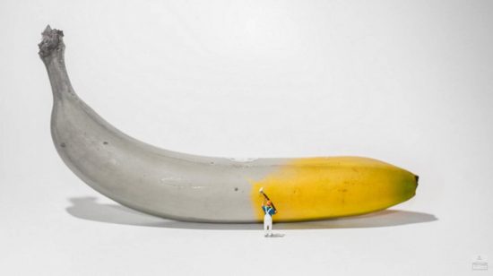 psdvault-flickr-136-5