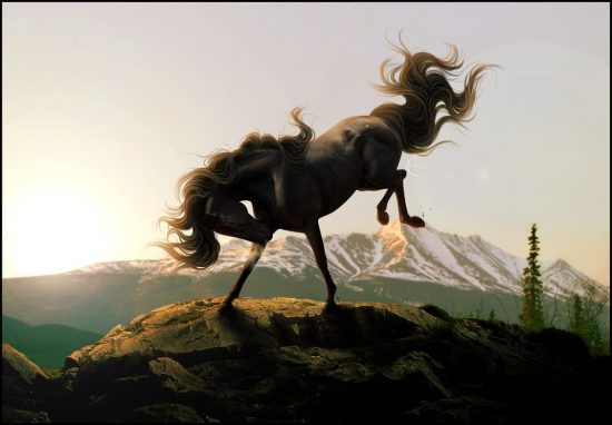 psdvault-deviantart-108-15