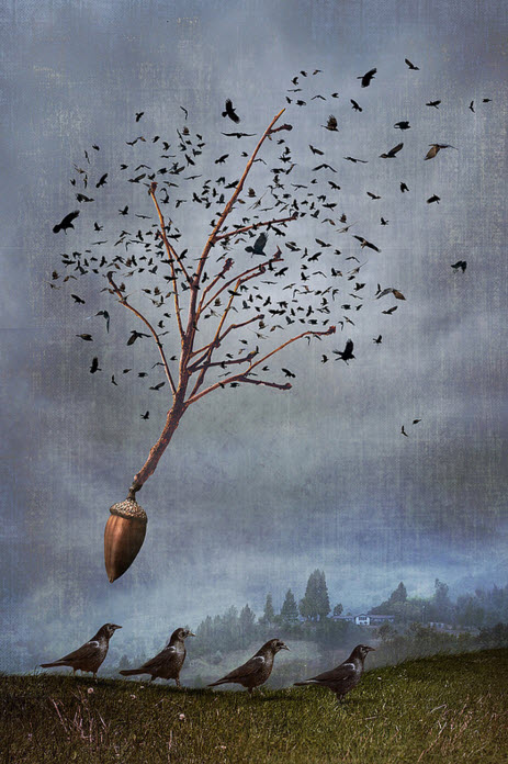 psdvault-flickr-139-12