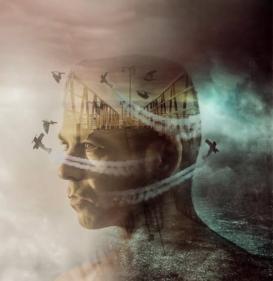 psdvault-flickr-140-4