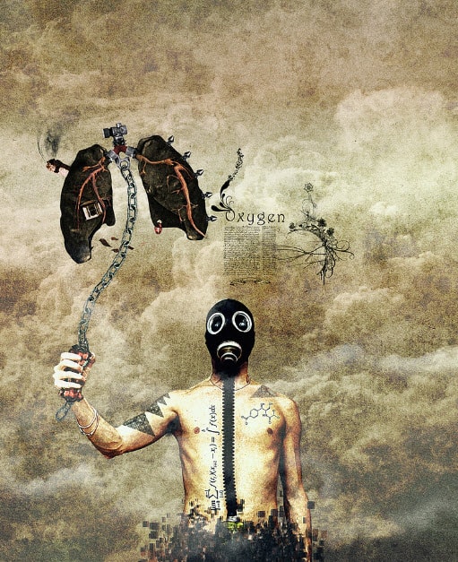 psdvault-flickr-142-11