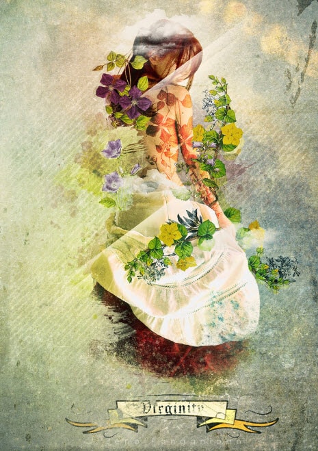 psdvault-flickr-142-15