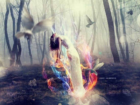 psdvault-flickr-145-2