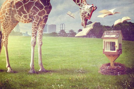 psdvault-flickr-145-7