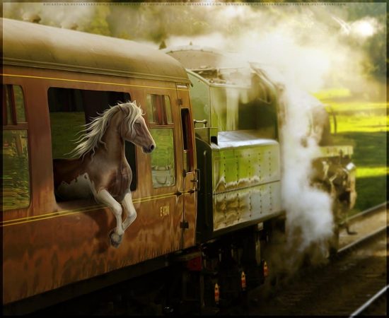 psdvault-deviantart-116-5