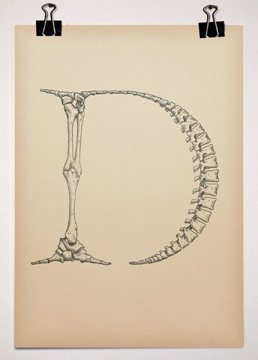 typography-blendr-49-10