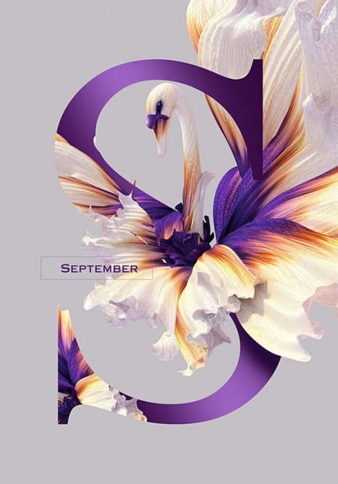 typography-blendr-50-1