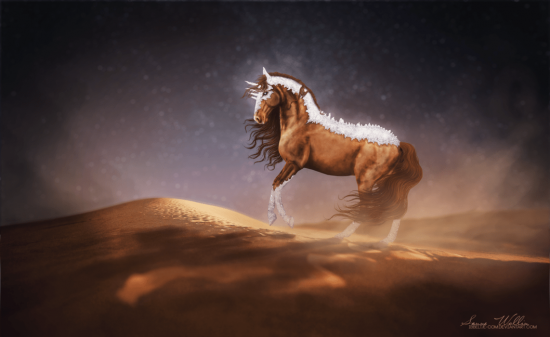 psdvault-deviantart-117-3