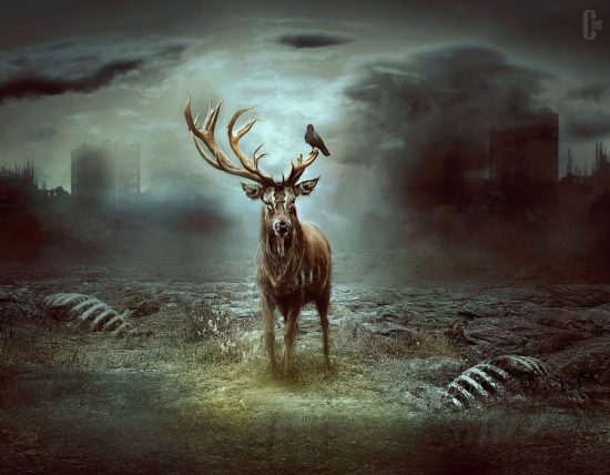 psdvault-deviantart-117-8