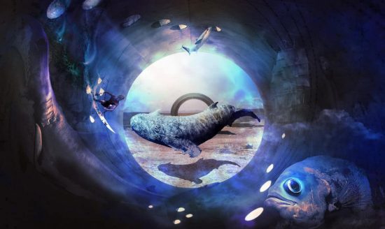 psdvault-flickr-152-9