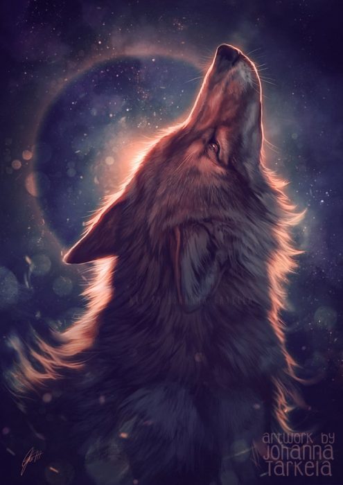 psdvault-deviantart-125-12