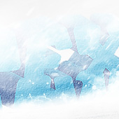 Design a Snowy Arctic Text Effect in Photoshop