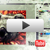 Let’s Learn Photoshop Basics – Vol. 1 – Video Tutorial: Working With Layer Masks in Photoshop