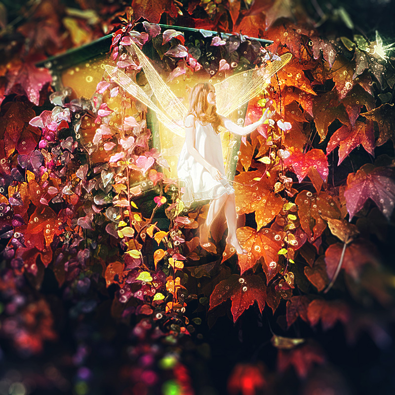 Create Magical Fairy Photo Manipulation in Photoshop