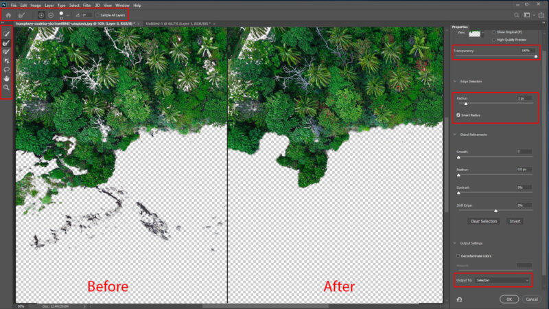 Expert Tips on Photoshop Magic Wand Tool