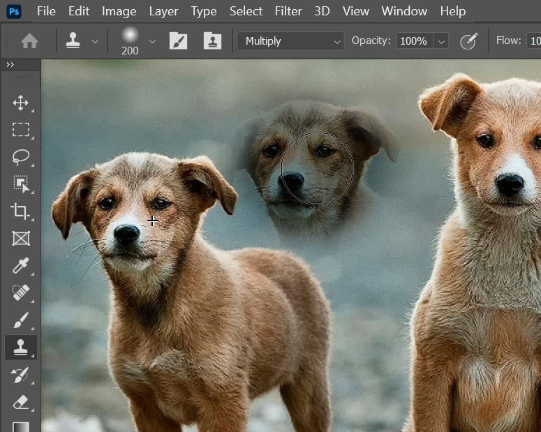 Cloning using Multiply blend mode.