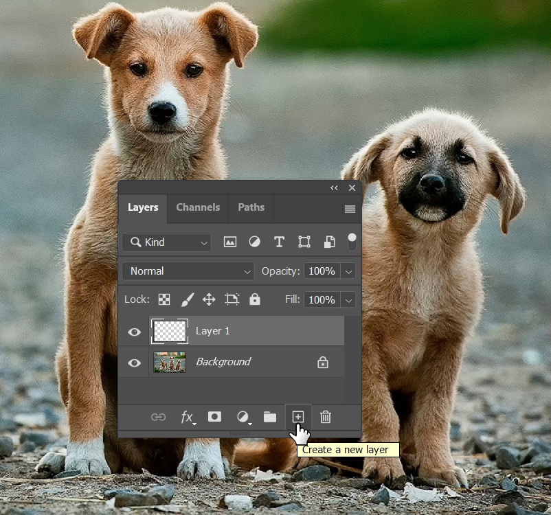 Cloning in a different layer.