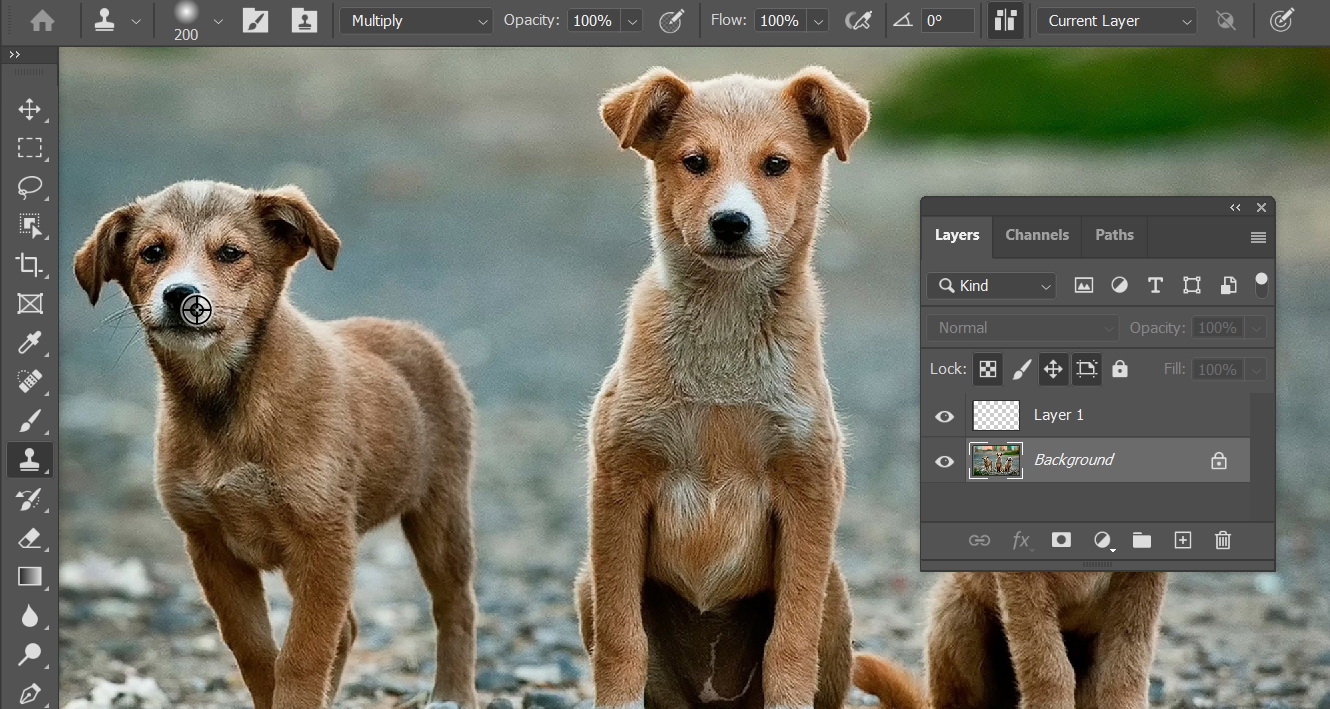 Cloning in a different layer.
