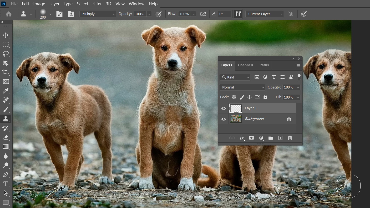 Cloning in a different layer.