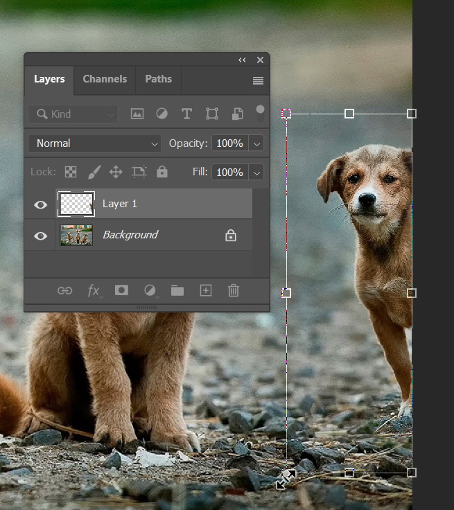 Cloning in a different layer.