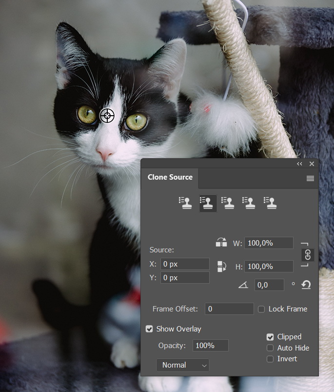 Clone source from multiple files.