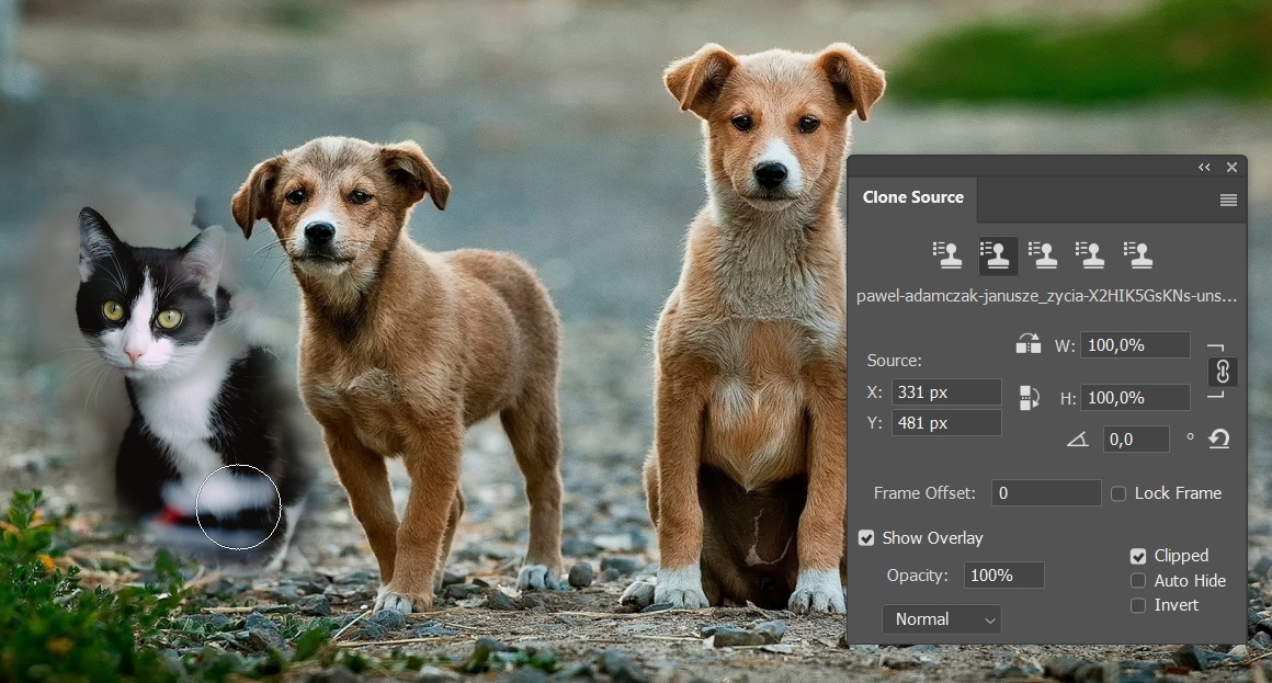 Clone source from multiple files.