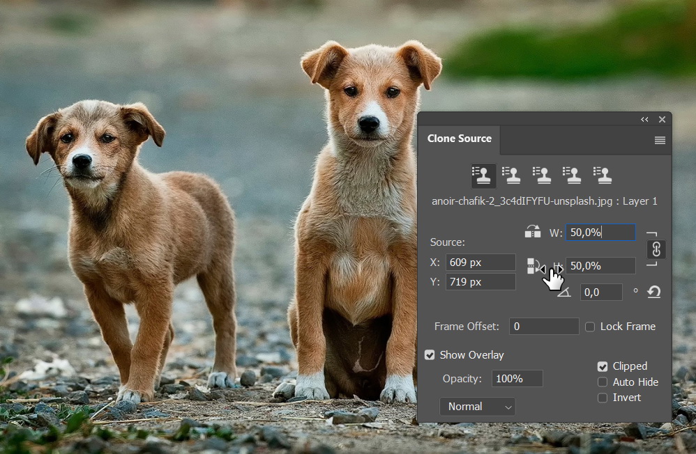 Clone size and rotation.