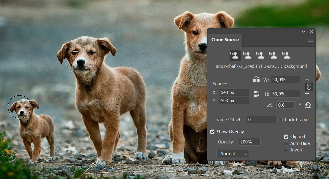 Clone size and rotation.