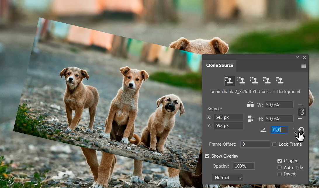 Clone size and rotation.