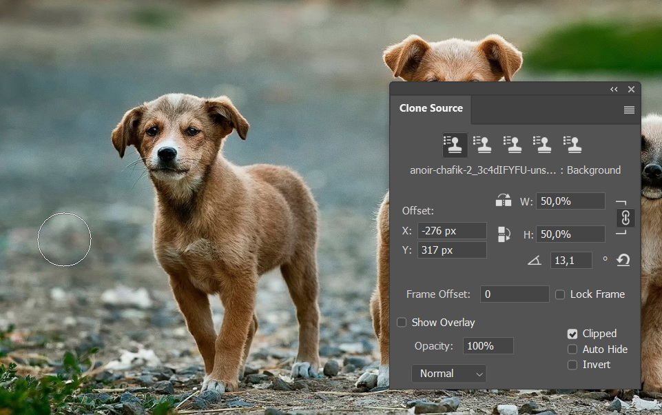 Clone size and rotation.