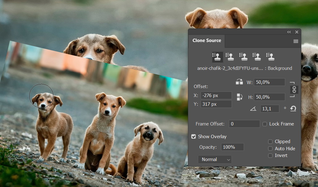 Clone size and rotation.