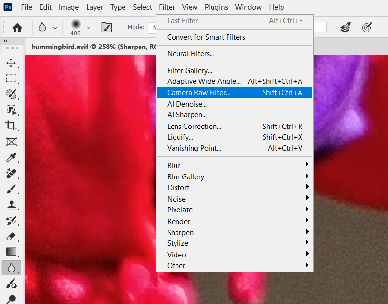 Camera Raw Filter location
