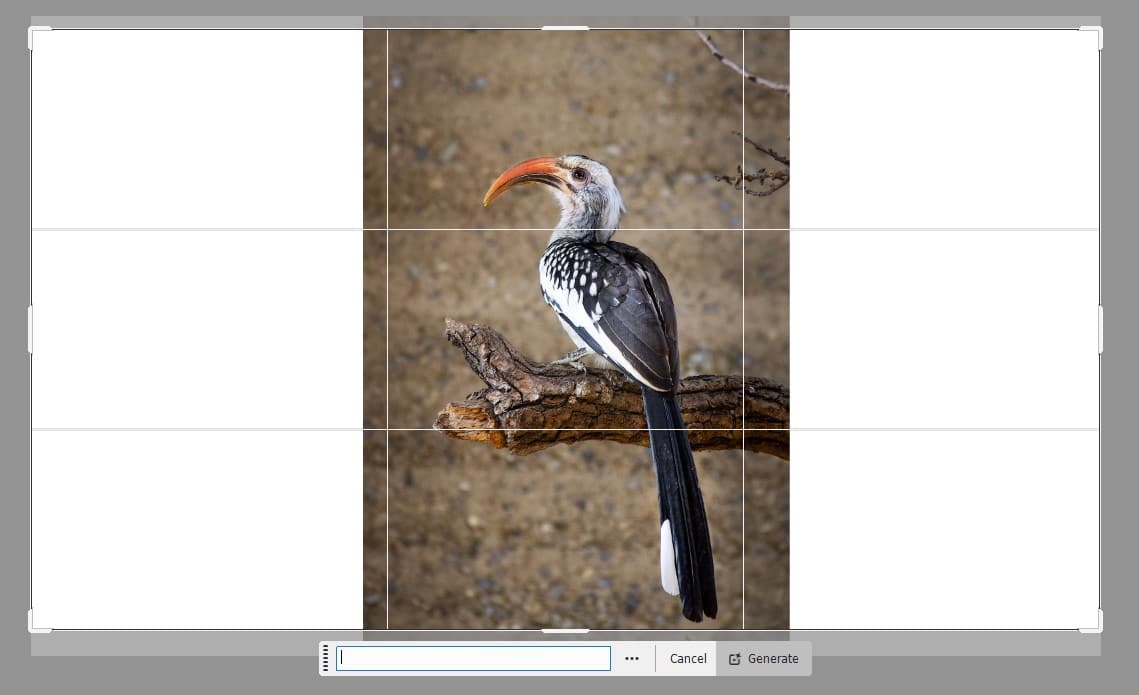 Photoshop's Generative Expand Tool - Expand Your Image
