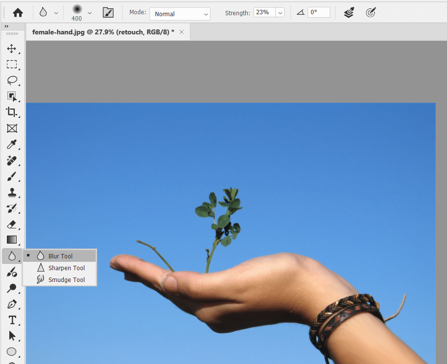 Suppress Residual Hair Detail with the Blur Tool