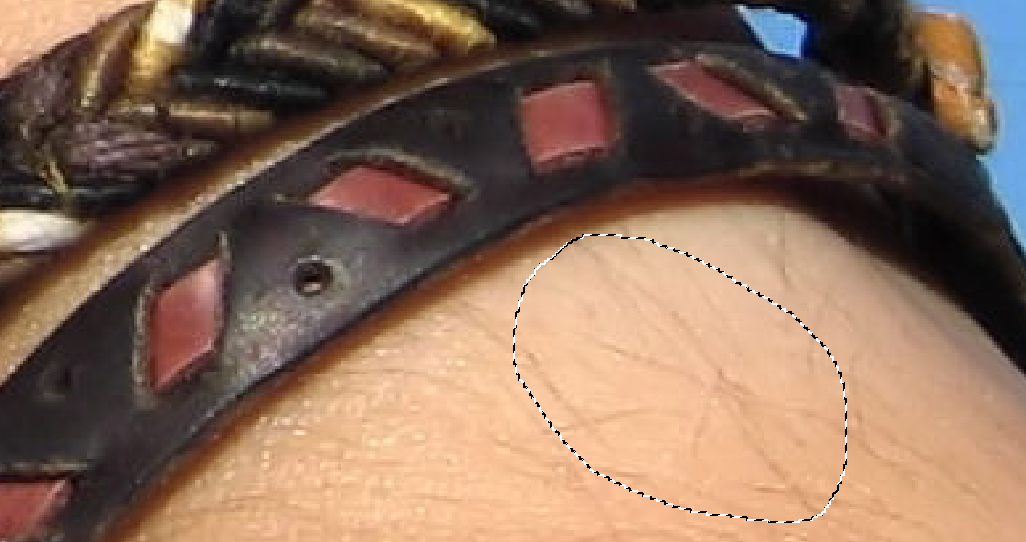 Make a Selection Around the Hair Area