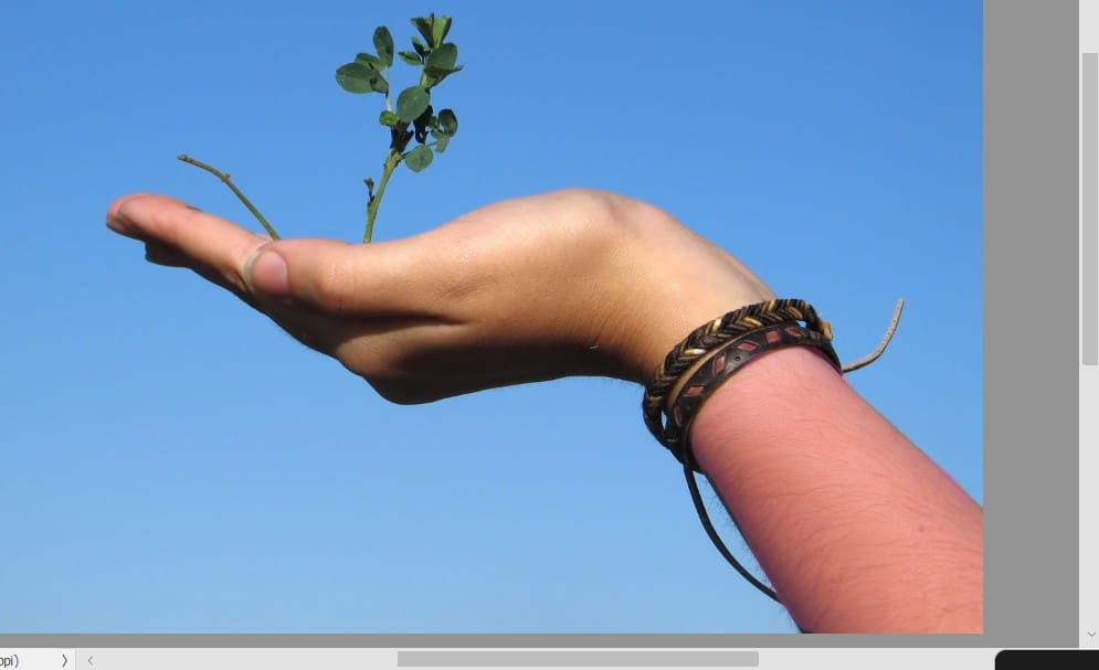 Paint Over the Hair Areas