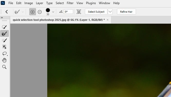 Step 4: Refine the Selection with Select and Mask