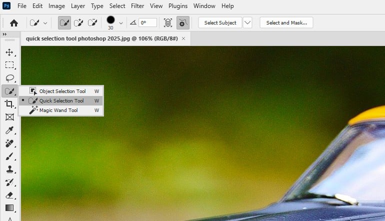 Step 2: Select the Quick Selection Tool