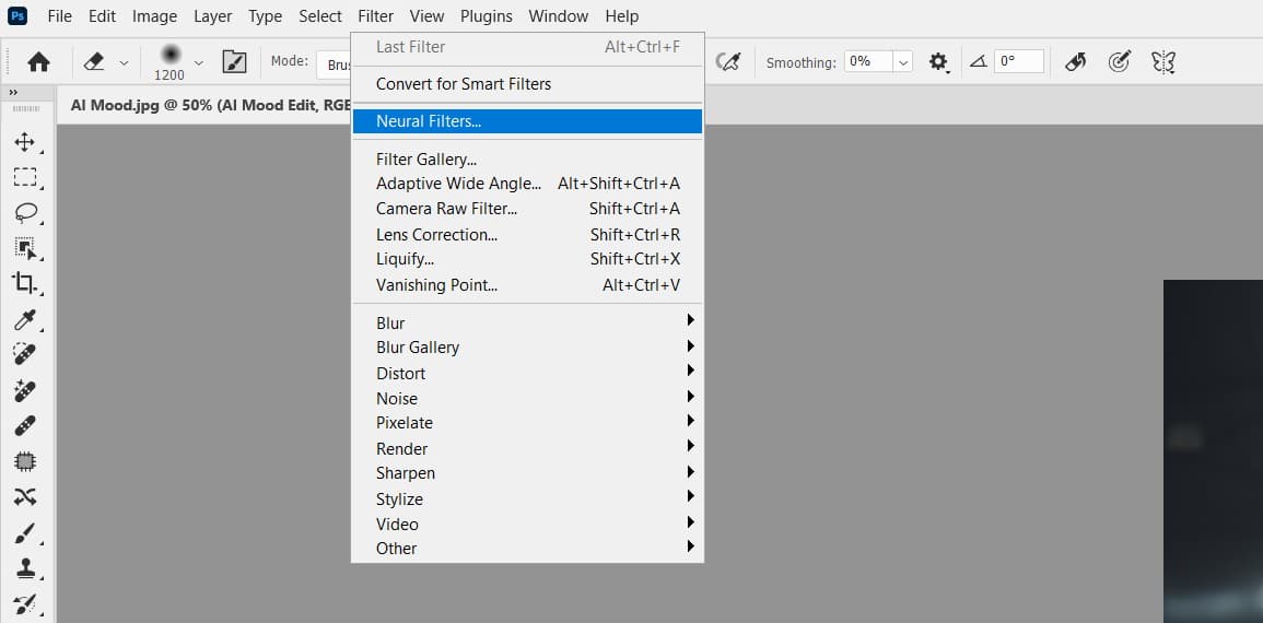 Access Neural Filters