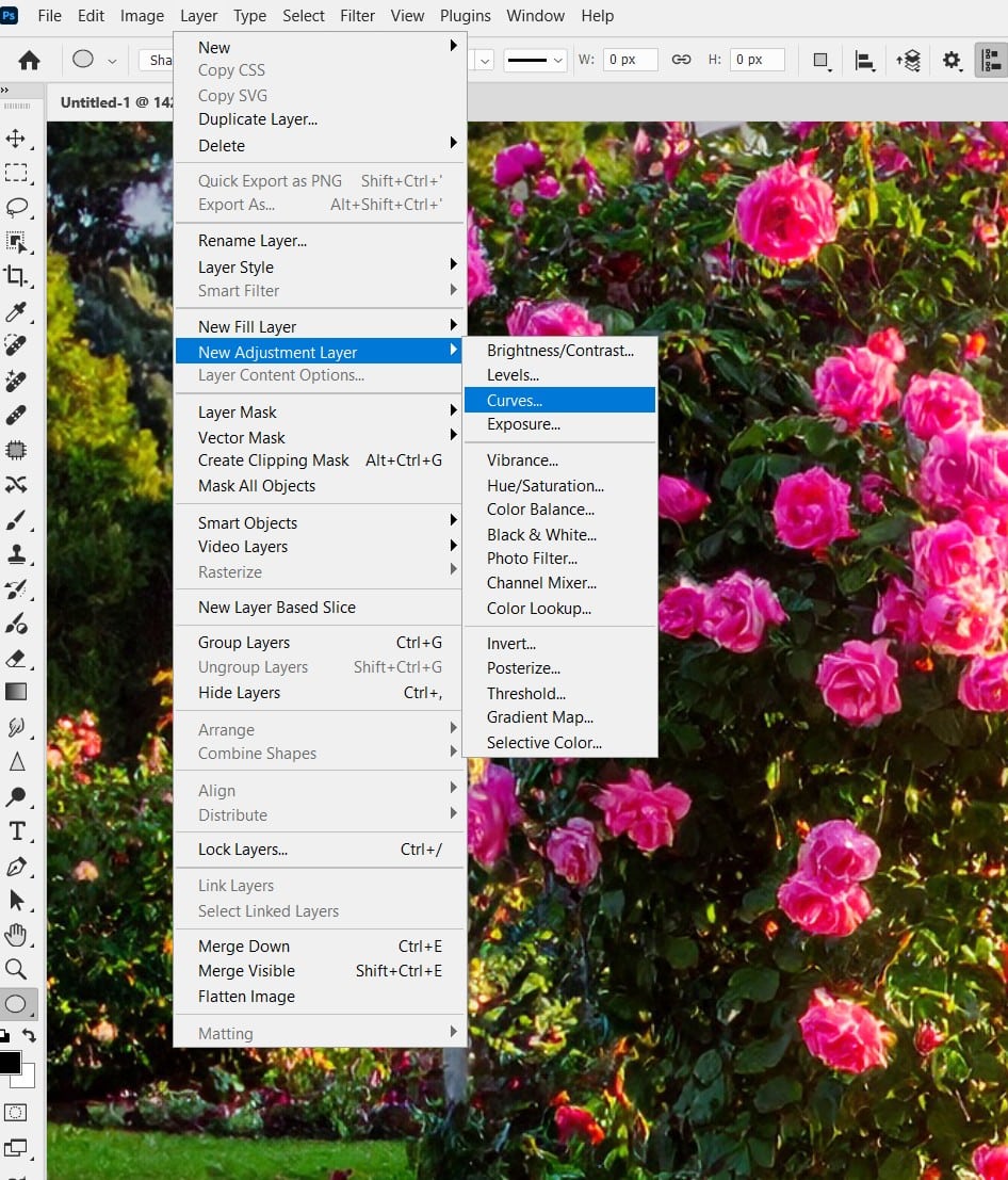 Refine with Adjustment Layers