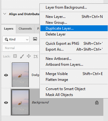 duplicate layer
